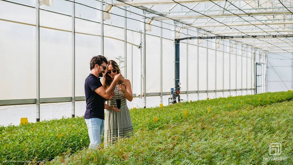 Novagric pistacho invernadero|Novagric pistacho invernadero|Foto-Portada-Novagric